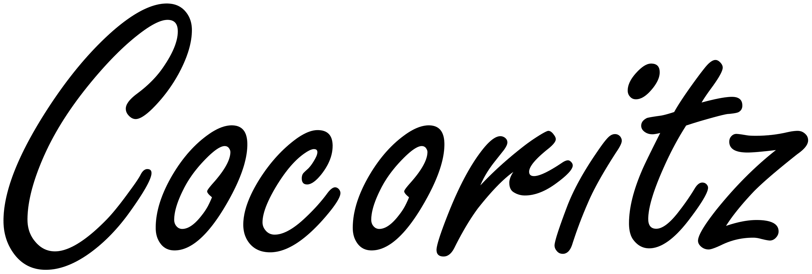 ココリッツ星ヶ丘店